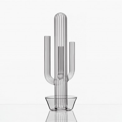 Jiří Pelcl: Kaktus, 2007, Křehký